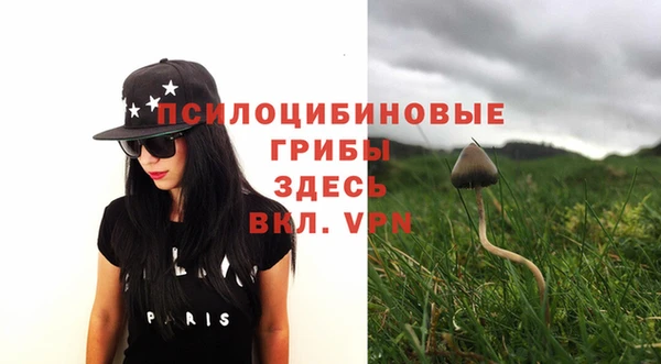 альфа пвп Лагань