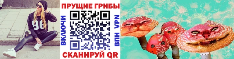 Галлюциногенные грибы Psilocybine cubensis  цена наркотик  Кузнецк 