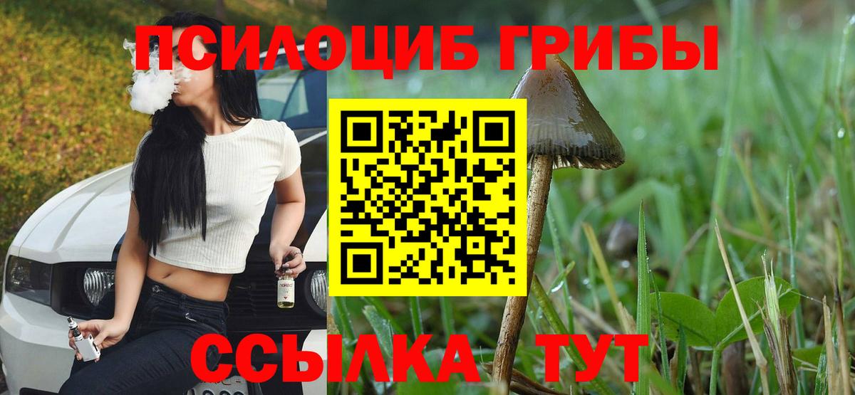 Галлюциногенные грибы прущие грибы Кузнецк